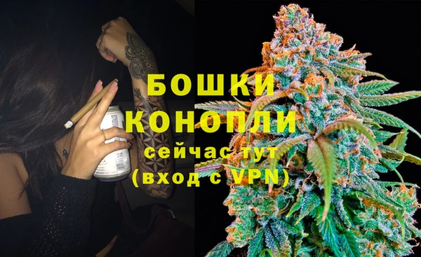 эйфоретик Горняк