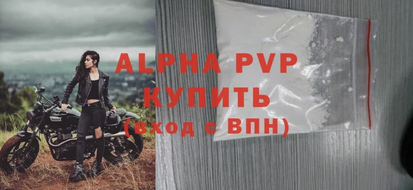 эйфоретик Горняк