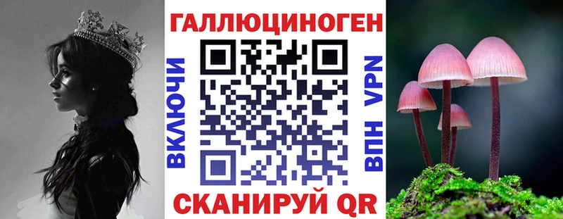 Галлюциногенные грибы Psilocybe  Купить  Яровое 